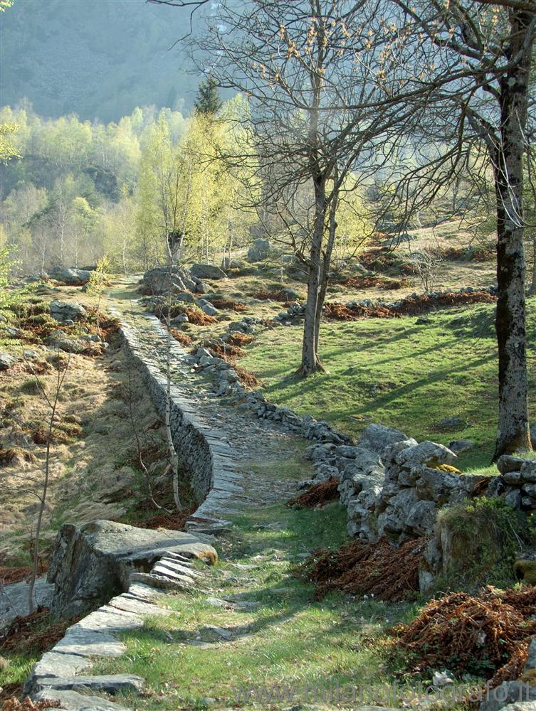 Desate at Rosazza (Biella, Italy) - Spring landscape